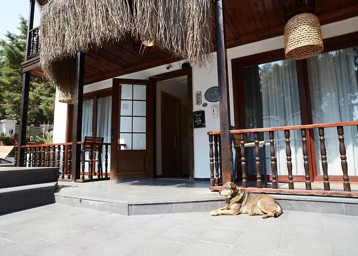 No 22 Riders' 3* אקיאקה